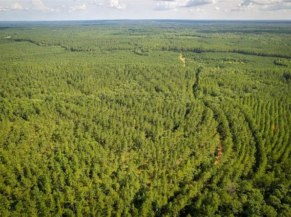 0 Us Highway 431, Pittsview, AL 36871