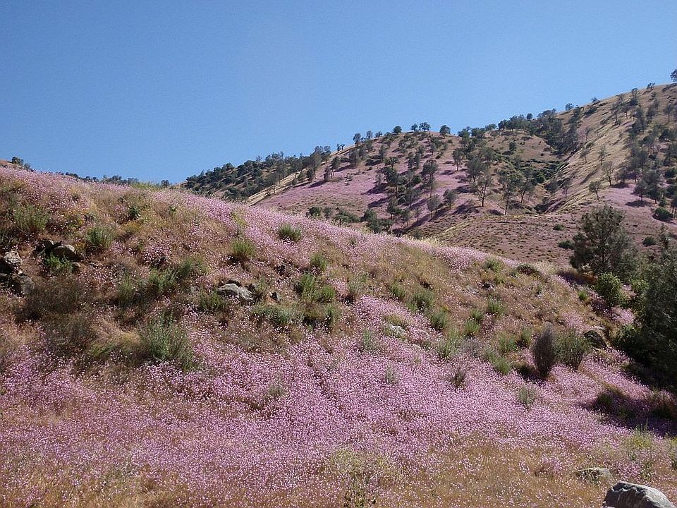 View of Kern Canyon