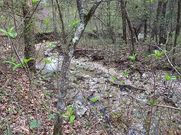3rd image of County Road 2322