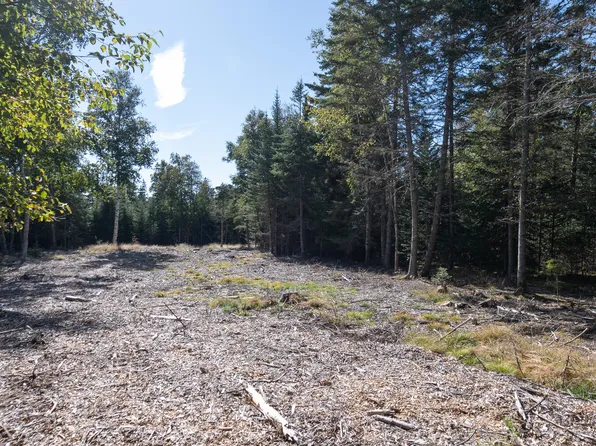 Lot 3 Sophie's Way Lot 3, Tremont, ME 04653