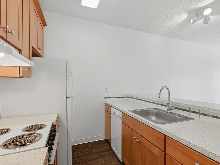 Pine Street Apartments — Photo 12