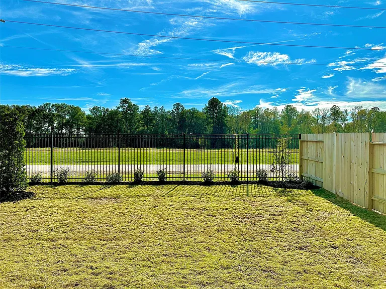 18330 Tiger Flowers Dr — Photo 18