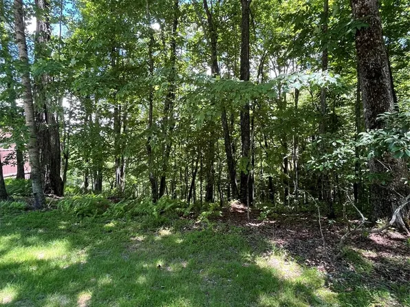 9999 Usdasdi Dr #2/21, Brevard, NC 28712
