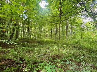 TRACT 2 Nips Way, Cullowhee, NC 28723