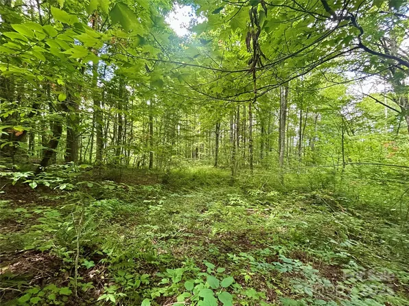 TRACT 2 Nips Way, Cullowhee, NC 28723