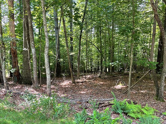 2nd image of 15 Summit Way