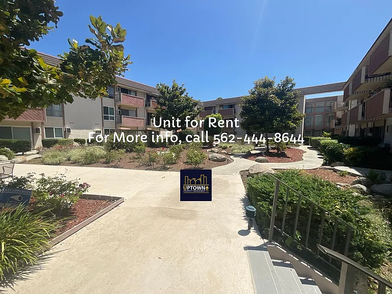 5585 E Pacific Coast Hwy #308 — Photo 22