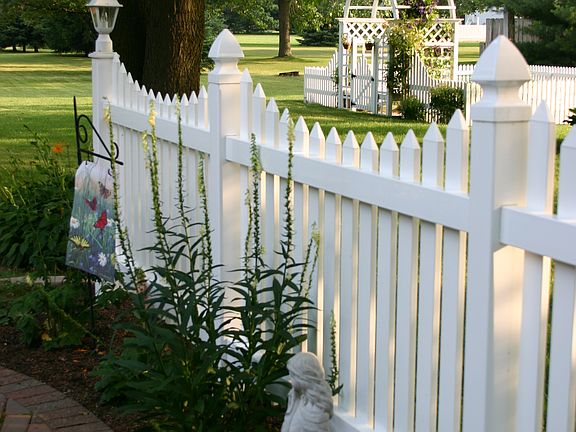Back Yard & Patio