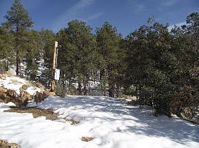 2nd image of 4910 E Herrin Hollow Ln