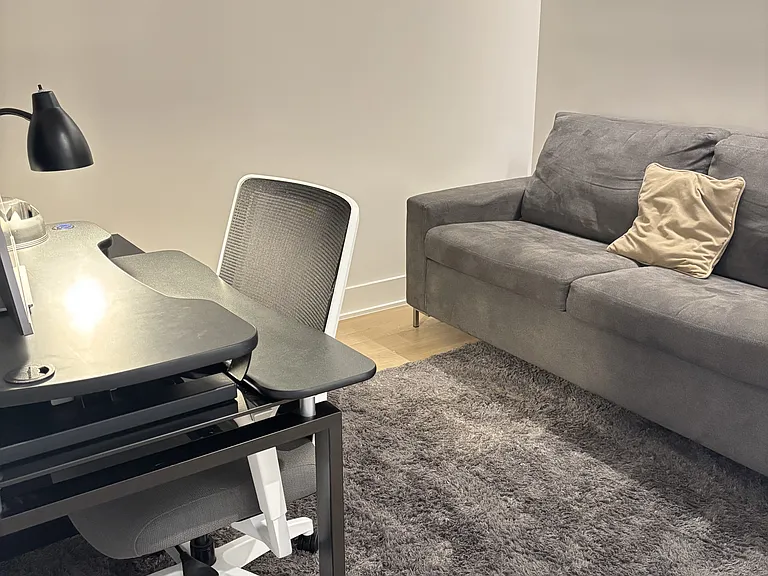 Den 1 (queen sleeper sofa)
