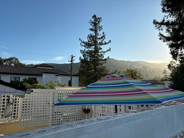 103 Edelen Ave #THREE — Photo 14