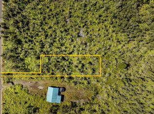 Mokuna St LOT 2078, Volcano, HI 96785