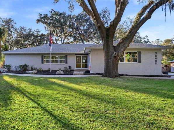 30424 Hillside Ln, Wesley Chapel, FL 33545