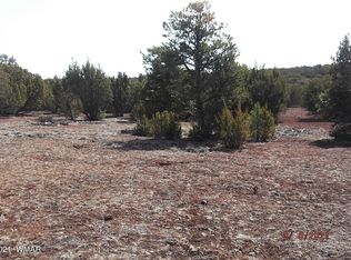 Burns Rd, Concho, AZ 85924