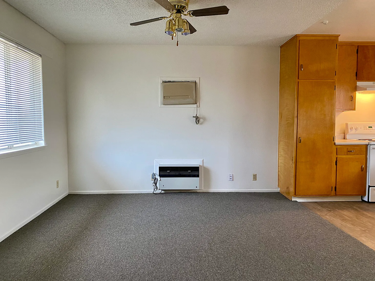 Halter Haven Apartments — Photo 3