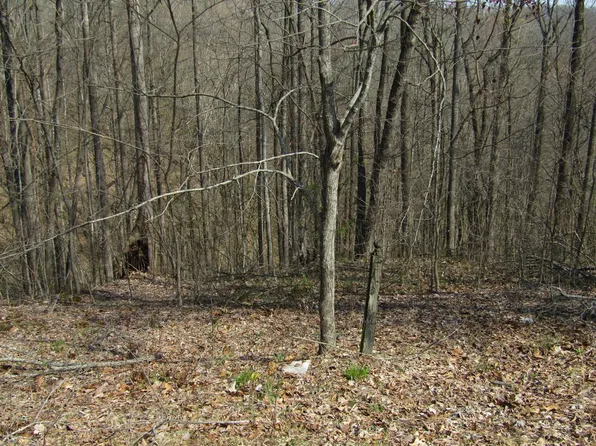 28 Hunters Landing Ln, Smithville, TN 37166