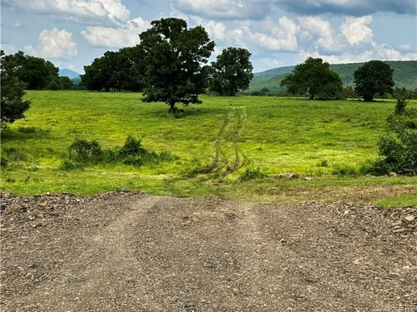 1 Old Pike Rd, Howe, OK 74940