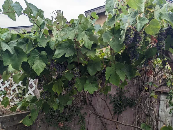 919 Milane Ln, Escondido, CA 92026