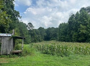 LOT 17 Pleasant View Cemetery Rd, New Market, TN 37820