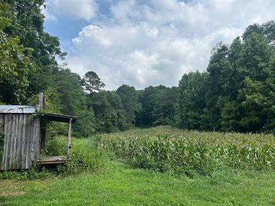 TRACT 17 Pleasant View Cemetery Rd, New Market, TN, 37820