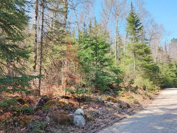 Frazer Bay Rd, Tower, MN 55790