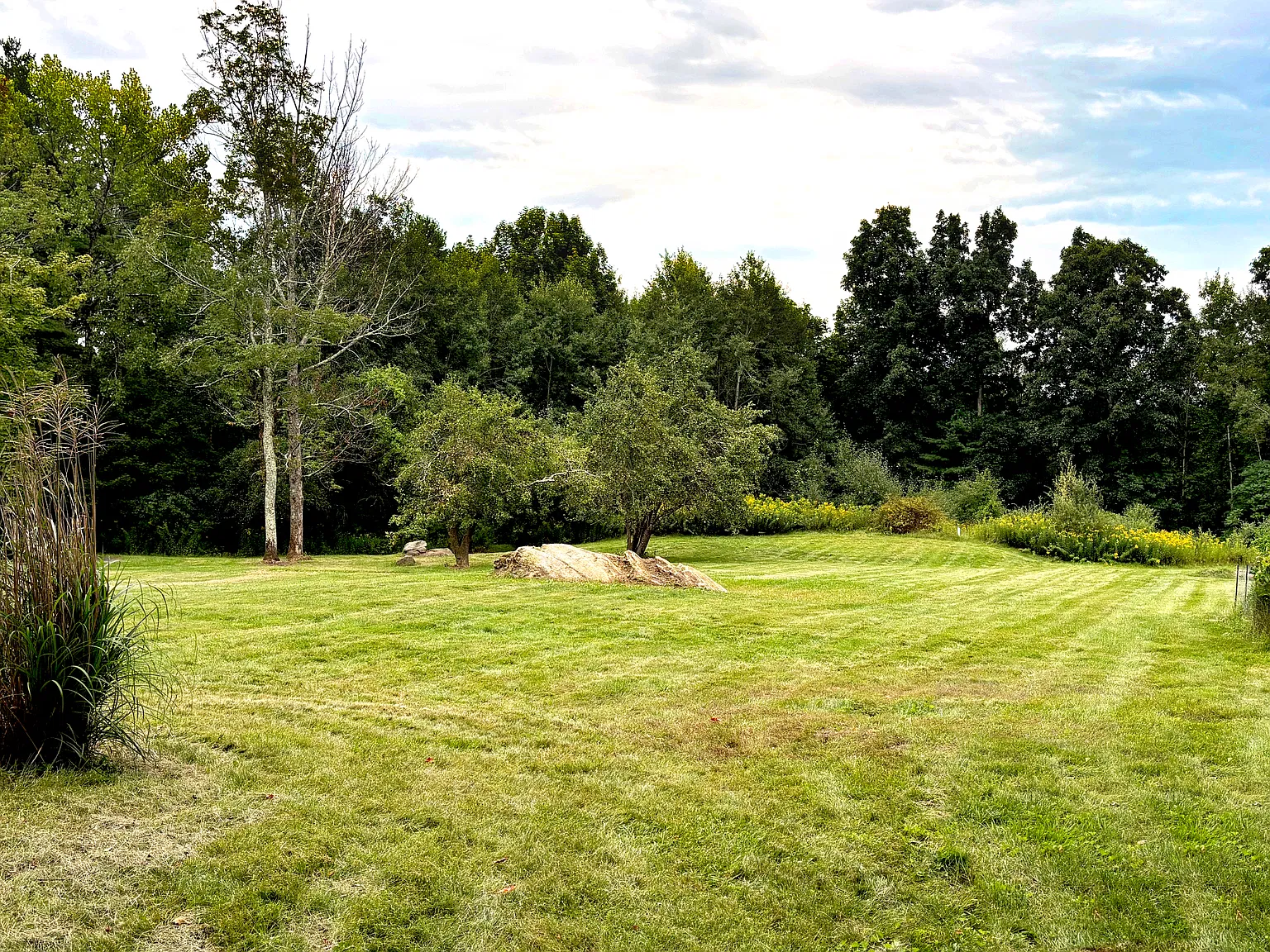 5 bed, 2.5 bath, 3500 sqft, $4,500 — Photo 4