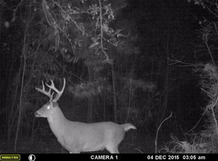 0 Springhill Rd, Smithdale, MS 39664