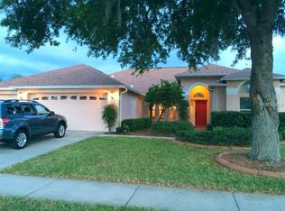 3908 Saddle Ridge St, Valrico, FL 33596