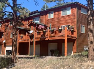 303 Virginia Rd #E, Bailey, CO 80421