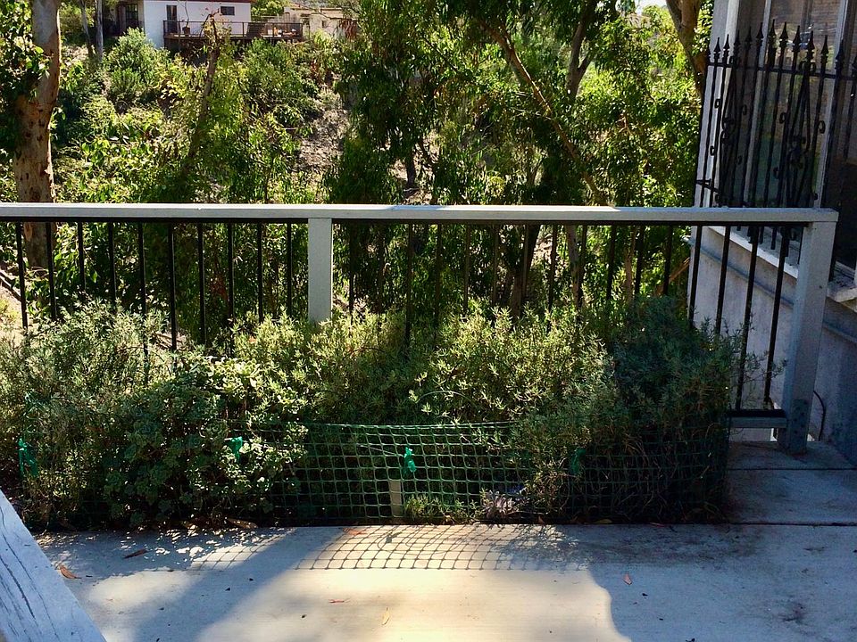 Patio in front of cottage