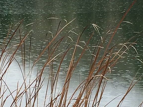 Great swimming lake