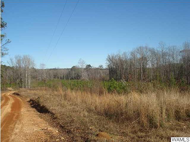 2nd image of 000 Kinard Rd