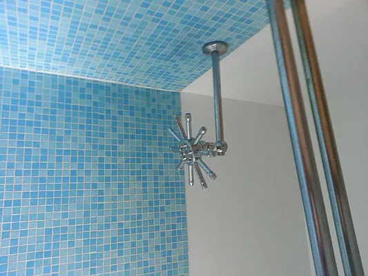 Rented by International Home Realty | media 14