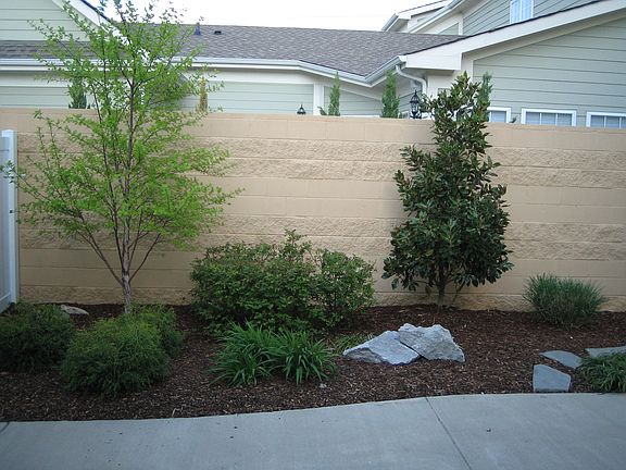 Landscaped patio/garden