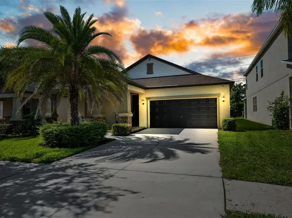 14019 Tropical Kingbird Way, Riverview, FL 33579