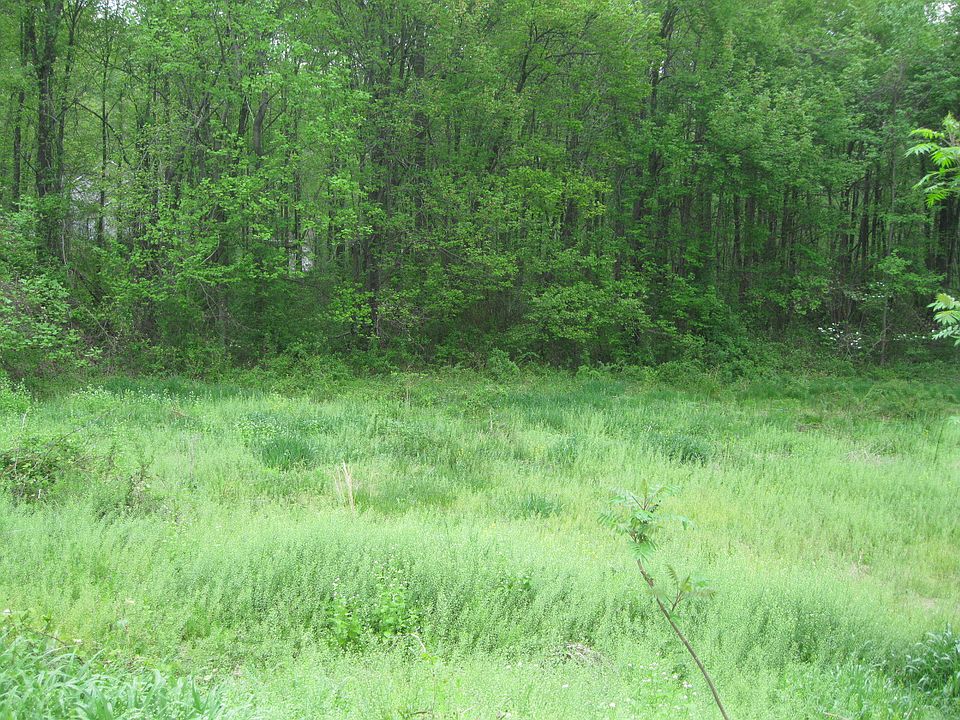 1st image of Cocalico Road