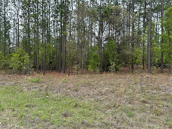 5th image of SW 125th Court Rd Lot 8