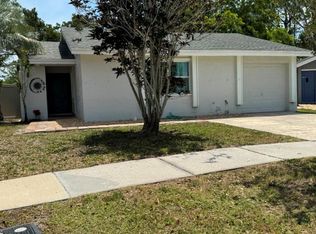 10617 Fairfield Village Dr, Tampa, FL 33624