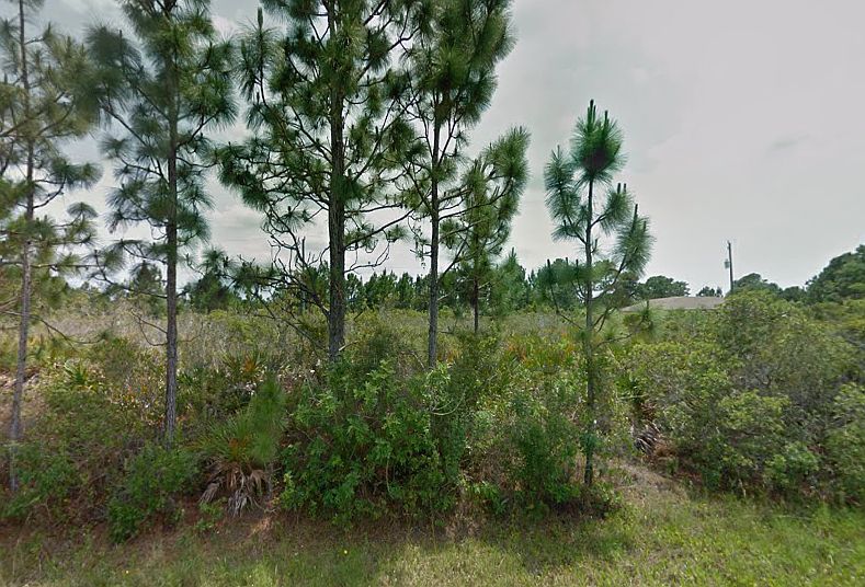 1st image of 12149 Terkelsen Ave