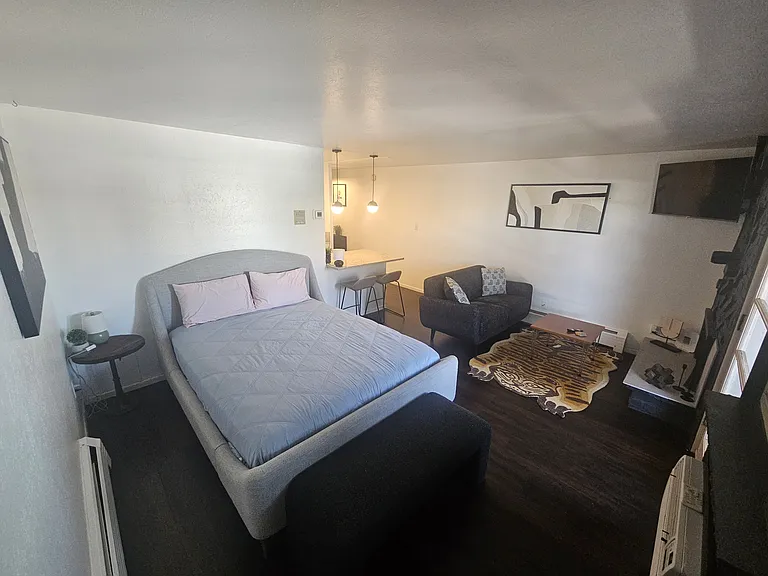 625 N Pennsylvania St #608 — Photo 3