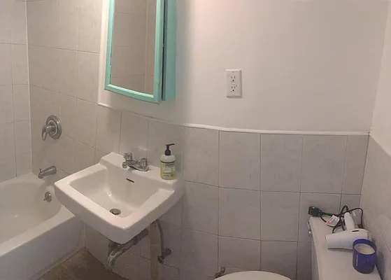 Rented by Brooklyn Real Estate Services | media 8