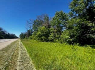 PARCEL 1 N M 37, Irons, MI 49644
