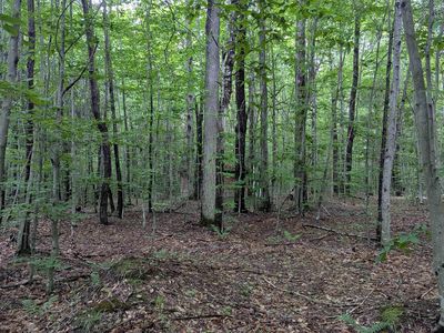 W Stella Lake Rd, Wetmore, MI, 49895