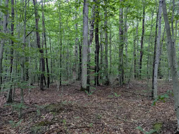 W Stella Lake Rd, Wetmore, MI 49895