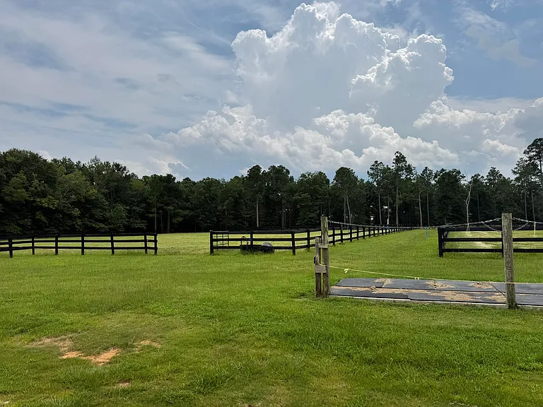102 Deer Stand Rd — Photo 18