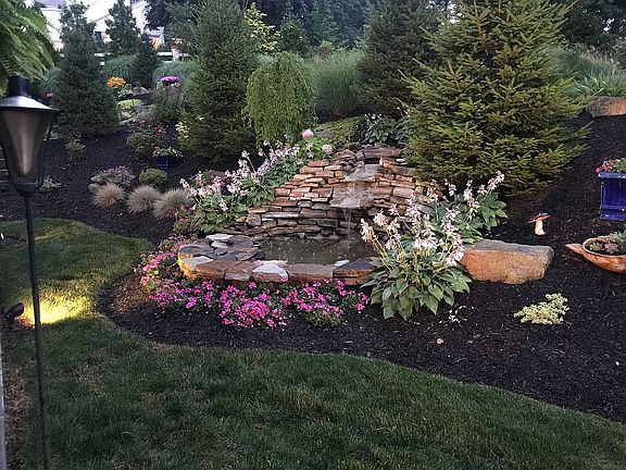 Pond and Landscape