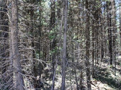 2215 Pleasant Valley Rd, Marion, MT, 59925