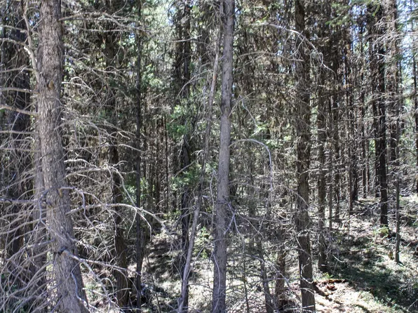 2215 Pleasant Valley Rd, Marion, MT 59925