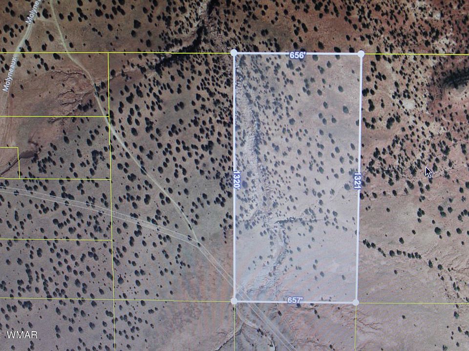 2nd image of 2 Molyneaux