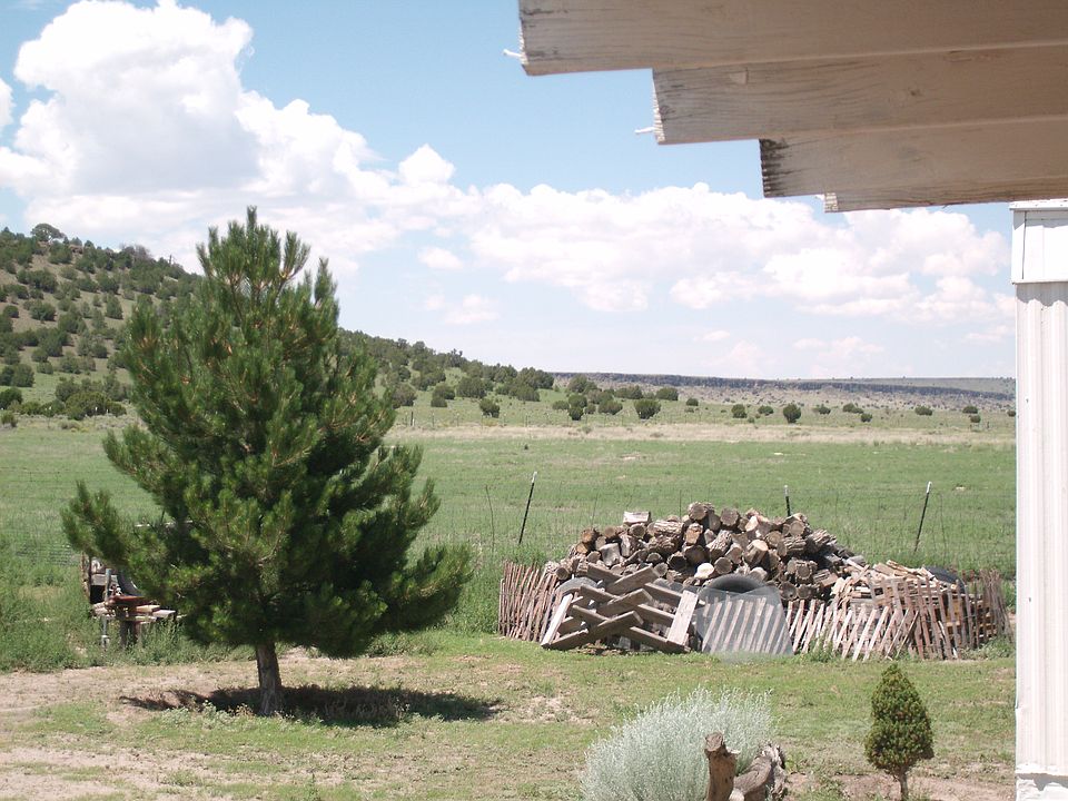 North view, oak firewood